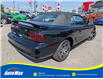 1997 Ford Mustang Base (Stk: B1652A) in Sarnia - Image 4 of 22
