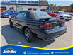 1997 Ford Mustang Base (Stk: B1652A) in Sarnia - Image 6 of 22