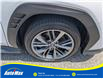2023 Subaru WRX Base (Stk: B1843) in Sarnia - Image 12 of 26