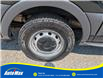 2017 Ford Transit-150 XLT (Stk: B1832) in Sarnia - Image 12 of 24