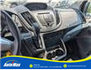 2017 Ford Transit-150 XLT (Stk: B1832) in Sarnia - Image 19 of 24