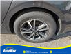 2023 Kia Forte EX (Stk: B1867) in Sarnia - Image 9 of 25