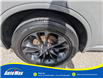 2021 Dodge Durango R/T (Stk: B1879) in Sarnia - Image 12 of 12