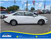 2024 Hyundai Elantra ESSENTIAL (Stk: B1871) in Sarnia - Image 4 of 24