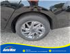 2024 Hyundai Elantra Preferred (Stk: B1873) in Sarnia - Image 9 of 25