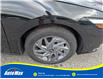 2024 Hyundai Elantra Preferred (Stk: B1873) in Sarnia - Image 11 of 25