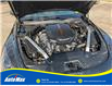 2020 Kia Stinger GT (Stk: B1436A) in Sarnia - Image 13 of 29
