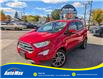 2019 Ford EcoSport Titanium (Stk: B1743) in Sarnia - Image 1 of 28