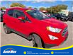 2019 Ford EcoSport Titanium (Stk: B1743) in Sarnia - Image 3 of 28