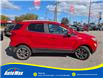 2019 Ford EcoSport Titanium (Stk: B1743) in Sarnia - Image 4 of 28