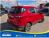 2019 Ford EcoSport Titanium (Stk: B1743) in Sarnia - Image 5 of 28