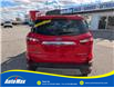 2019 Ford EcoSport Titanium (Stk: B1743) in Sarnia - Image 6 of 28