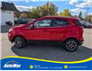 2019 Ford EcoSport Titanium (Stk: B1743) in Sarnia - Image 8 of 28