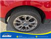 2019 Ford EcoSport Titanium (Stk: B1743) in Sarnia - Image 10 of 28