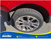 2019 Ford EcoSport Titanium (Stk: B1743) in Sarnia - Image 12 of 28