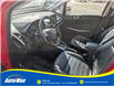 2019 Ford EcoSport Titanium (Stk: B1743) in Sarnia - Image 16 of 28