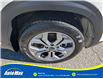 2024 Kia Seltos LX (Stk: B1868) in Sarnia - Image 11 of 25