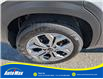 2024 Kia Seltos LX (Stk: B1868) in Sarnia - Image 12 of 25