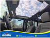 2021 Jeep Wrangler Unlimited Sahara (Stk: B1913) in Sarnia - Image 15 of 28