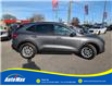 2021 Ford Escape SE (Stk: B1916) in Sarnia - Image 4 of 25 2021 Ford Escape SE (Stk: B1916) in Sarnia - Image 4 of 25