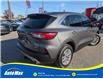 2021 Ford Escape SE (Stk: B1916) in Sarnia - Image 5 of 25 2021 Ford Escape SE (Stk: B1916) in Sarnia - Image 5 of 25