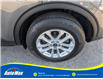 2021 Ford Escape SE (Stk: B1916) in Sarnia - Image 8 of 25 2021 Ford Escape SE (Stk: B1916) in Sarnia - Image 8 of 25