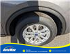 2021 Ford Escape SE (Stk: B1916) in Sarnia - Image 10 of 25 2021 Ford Escape SE (Stk: B1916) in Sarnia - Image 10 of 25