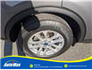 2021 Ford Escape SE (Stk: B1916) in Sarnia - Image 11 of 25 2021 Ford Escape SE (Stk: B1916) in Sarnia - Image 11 of 25