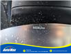 2021 Ford Escape SE (Stk: B1916) in Sarnia - Image 15 of 25 2021 Ford Escape SE (Stk: B1916) in Sarnia - Image 15 of 25
