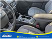 2021 Ford Escape SE (Stk: B1916) in Sarnia - Image 19 of 25 2021 Ford Escape SE (Stk: B1916) in Sarnia - Image 19 of 25