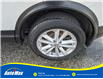 2018 Nissan Qashqai S (Stk: B1643A) in Sarnia - Image 9 of 23