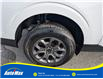 2022 Ford Maverick XLT (Stk: B1908) in Sarnia - Image 12 of 25 2022 Ford Maverick XLT (Stk: B1908) in Sarnia - Image 12 of 25