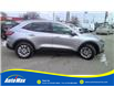 2021 Ford Escape SE (Stk: B1921) in Sarnia - Image 4 of 25