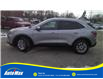 2021 Ford Escape SE (Stk: B1921) in Sarnia - Image 8 of 25
