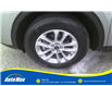 2021 Ford Escape SE (Stk: B1921) in Sarnia - Image 9 of 25