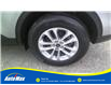 2021 Ford Escape SE (Stk: B1921) in Sarnia - Image 10 of 25