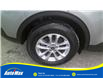 2021 Ford Escape SE (Stk: B1921) in Sarnia - Image 11 of 25