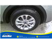 2021 Ford Escape SE (Stk: B1921) in Sarnia - Image 12 of 25