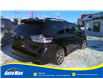2019 Toyota Sienna SE 8-Passenger (Stk: B1934) in Sarnia - Image 5 of 22