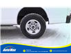 2019 GMC Savana 2500 Work Van (Stk: B1936) in Sarnia - Image 7 of 22