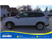 2018 Subaru Forester 2.5i Convenience (Stk: B1933) in Sarnia - Image 8 of 21