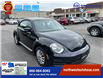 2018 Volkswagen Beetle 2.0 TSI Coast in Vaughan - Image 3 of 20