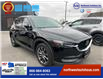2019 Mazda CX-5 Signature w/Diesel (Stk: -) in North York - Image 3 of 32