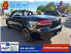 2015 Volkswagen Eos Wolfsburg Edition (Stk: 2282) in North York - Image 2 of 21