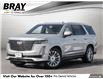 2021 Cadillac Escalade Premium Luxury (Stk: B12385) in Orangeville - Image 1 of 32