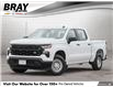 2024 Chevrolet Silverado 1500 Work Truck (Stk: B12465) in Orangeville - Image 1 of 32