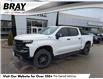 2021 Chevrolet Silverado 1500 LT Trail Boss (Stk: 25384AA) in Orangeville - Image 1 of 24