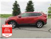 2019 Honda CR-V EX (Stk: K18060A) in Ottawa - Image 4 of 19