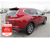 2019 Honda CR-V EX (Stk: K18060A) in Ottawa - Image 6 of 19
