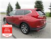 2019 Honda CR-V EX (Stk: K18060A) in Ottawa - Image 8 of 19